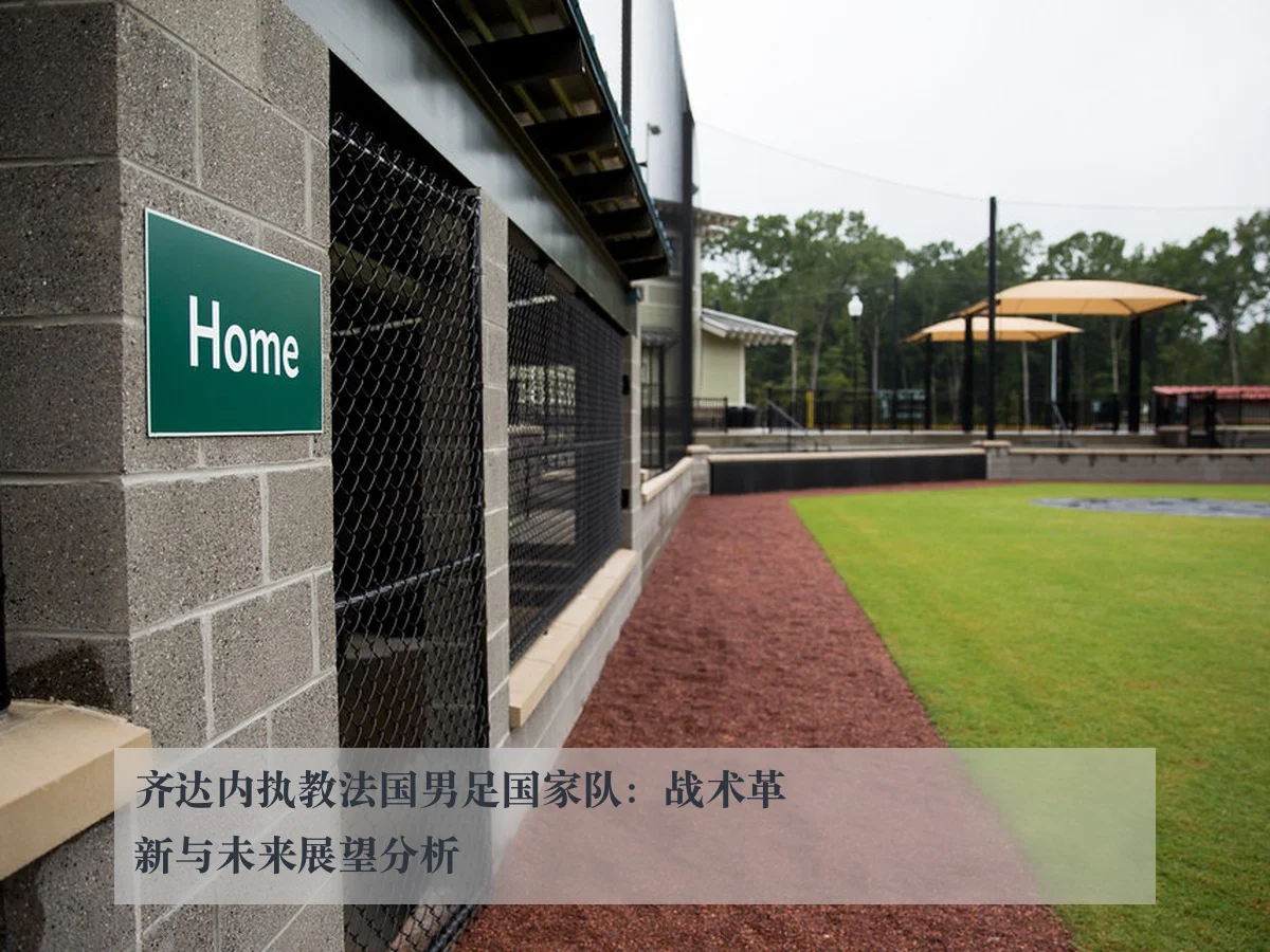 齐达内执教法国男足国家队:战术革新与未来展望分析