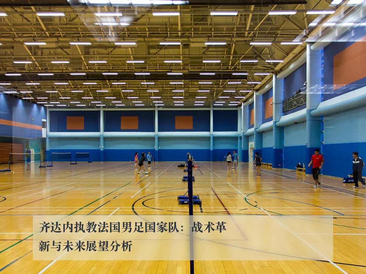 齐达内执教法国男足国家队:战术革新与未来展望分析