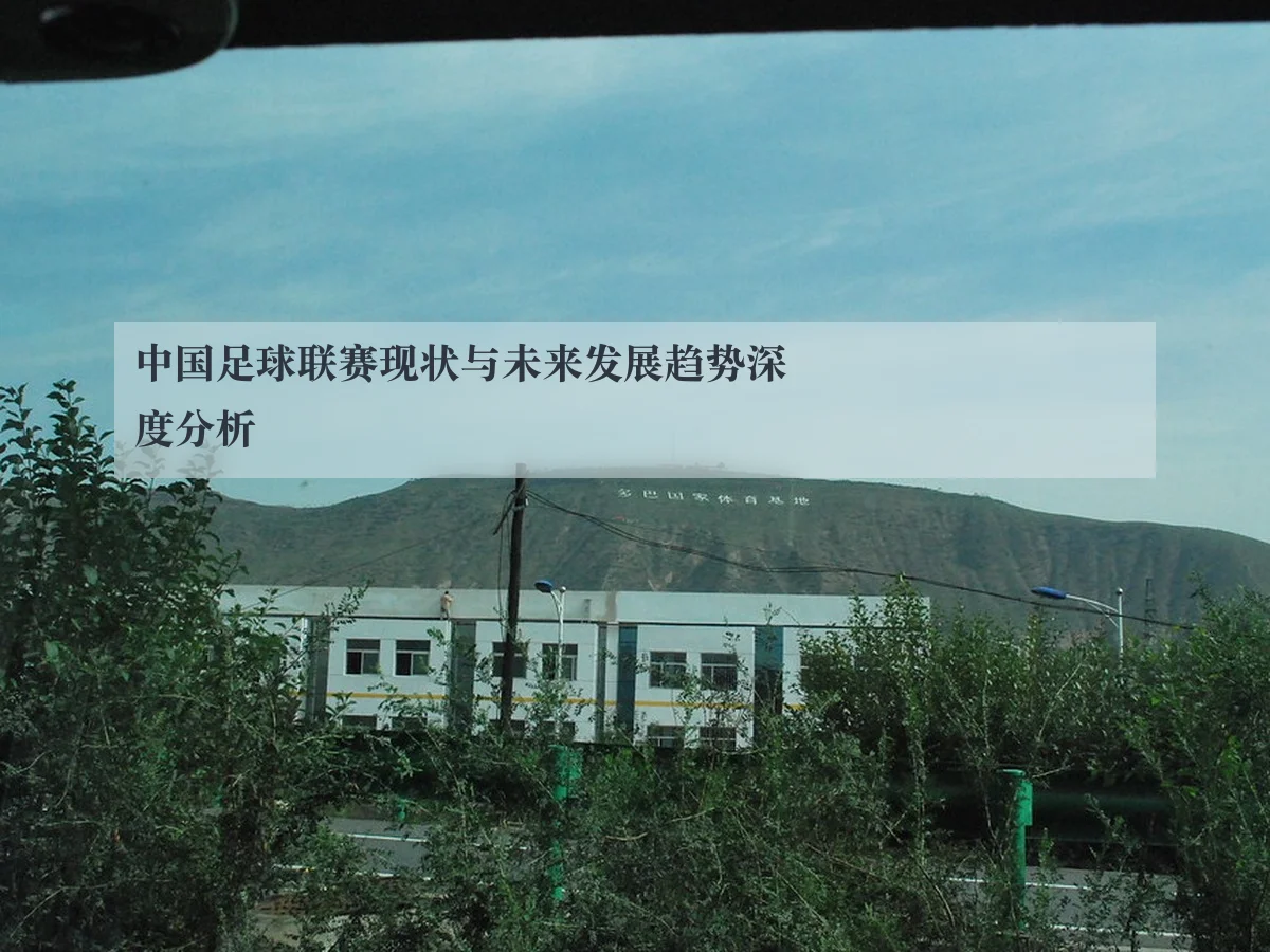 中国足球联赛现状与未来发展趋势深度分析